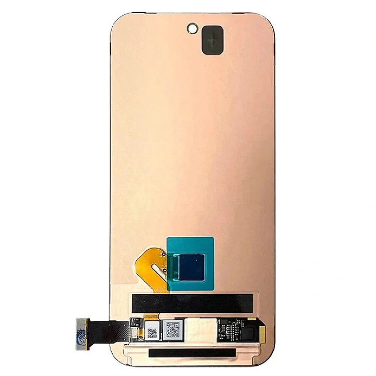 Pixel 9 Scáileáin LCD